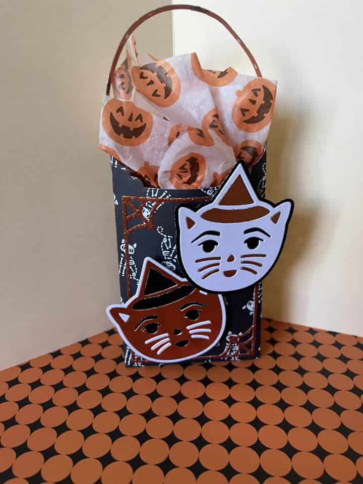 A bag with a cat face and a paper bag.