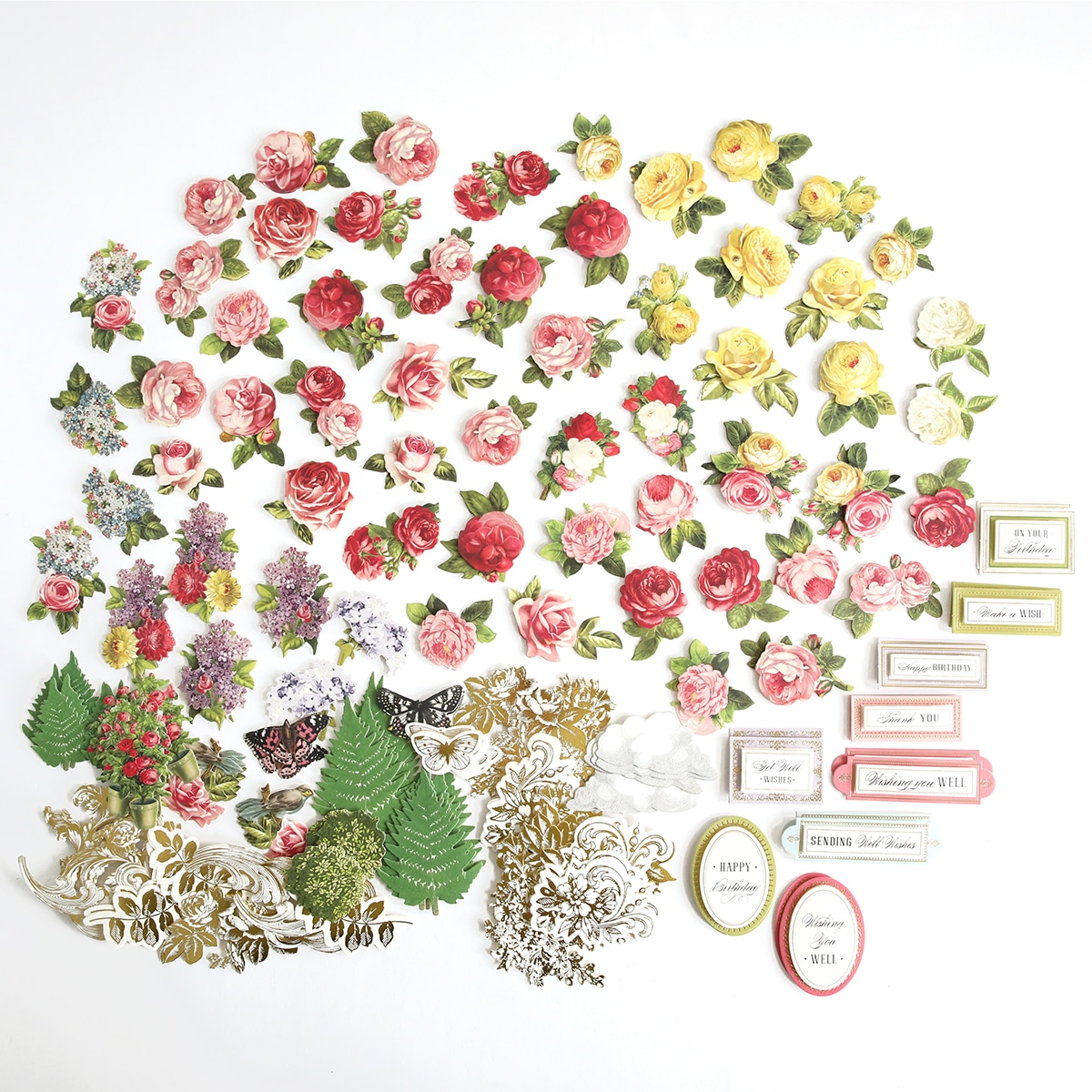 A collection of flowers, leaves, and other items on a white surface.